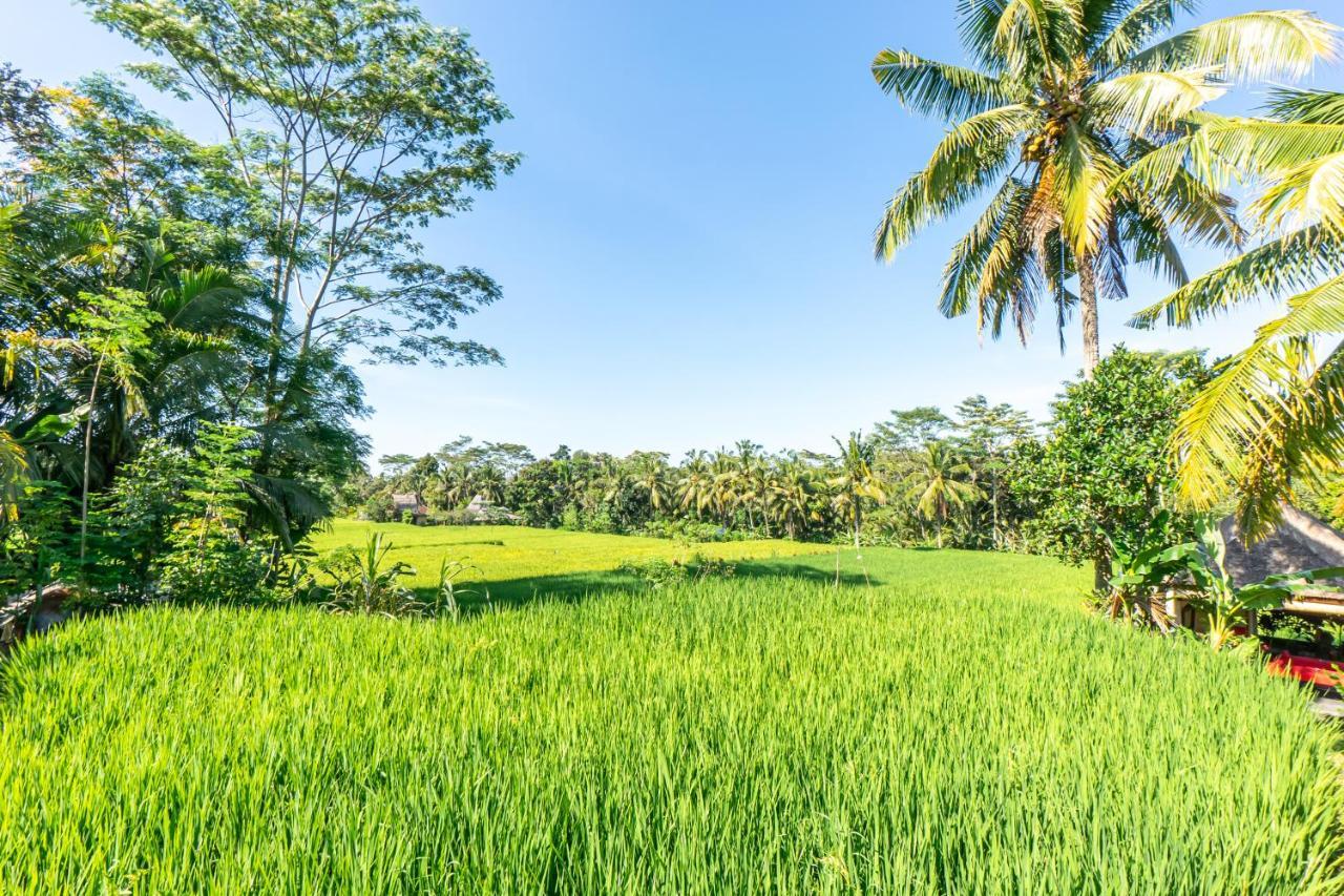 Rouge - Private Villa Passion Ubud Exteriör bild